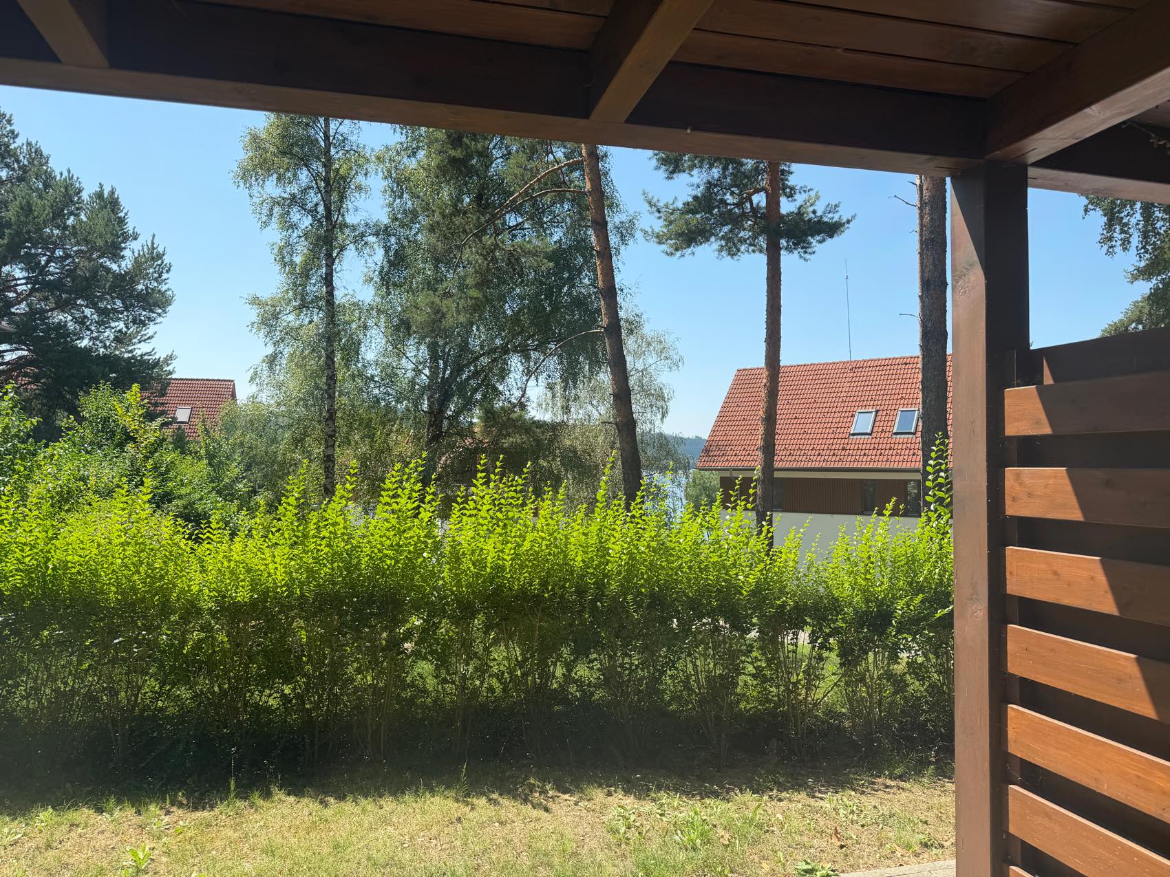 Výhled z terasy do zeleně a na borovice